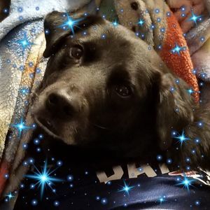 Meet your Posher, Jenn